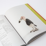 Gehaakte vogels 6