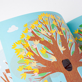 Lente, zomer, herfst, winter 4