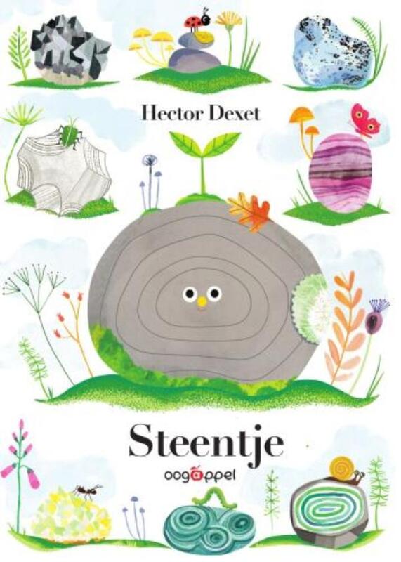 Omslag van boek: Steentje