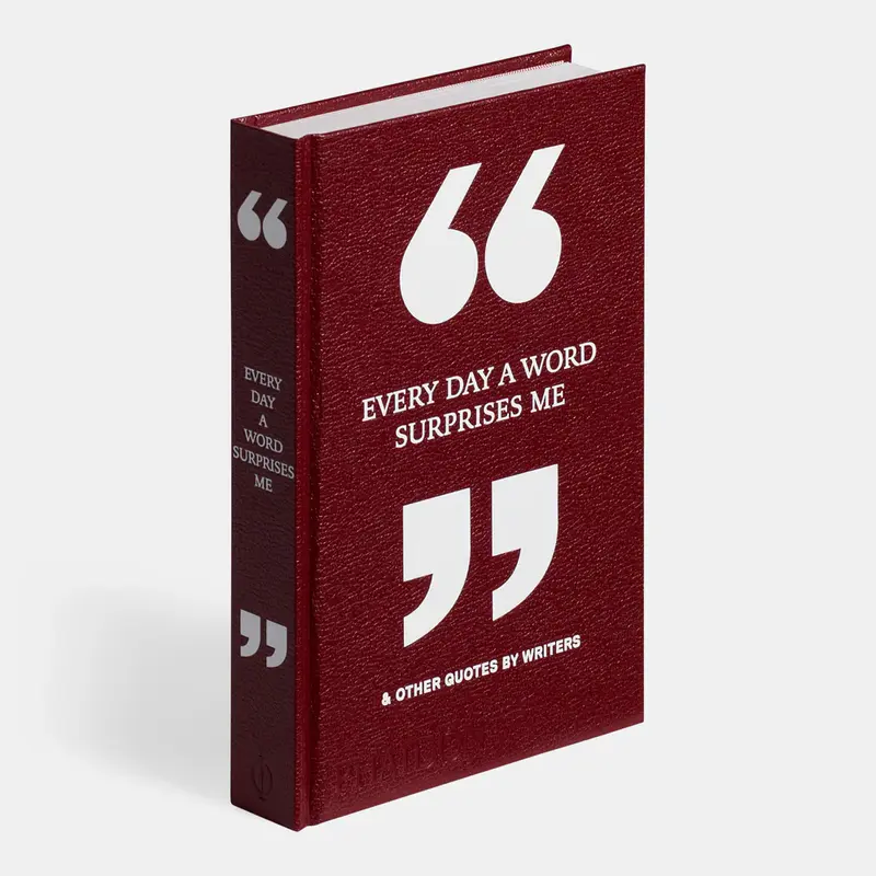 Every Day a Word Surprises Me & Other Quotes by Writers 2