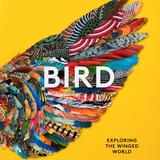 Bird 1