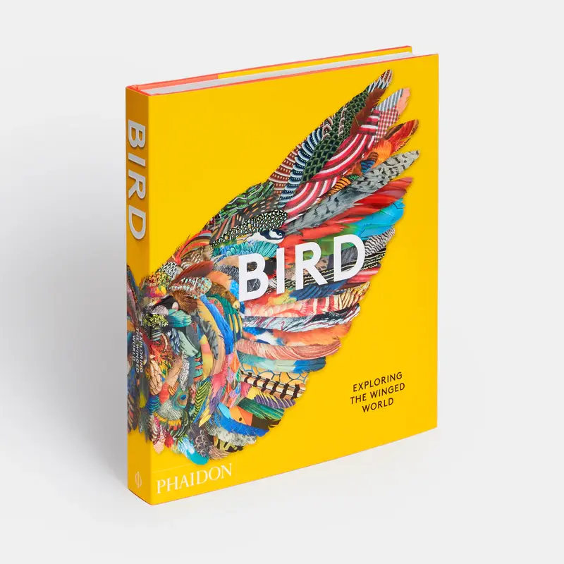 Bird 2