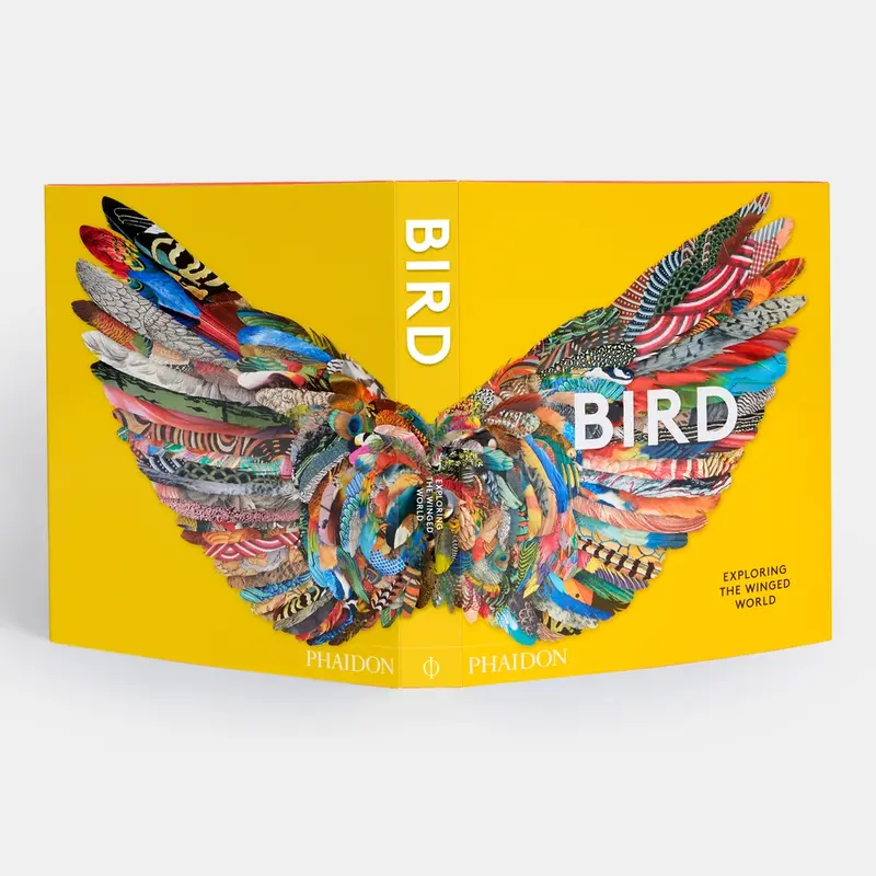 Bird 3
