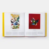 Bird 7