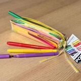 Etui met 12 stiften  1