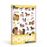 Ponyclub - 27 herbruikbare stickers 1
