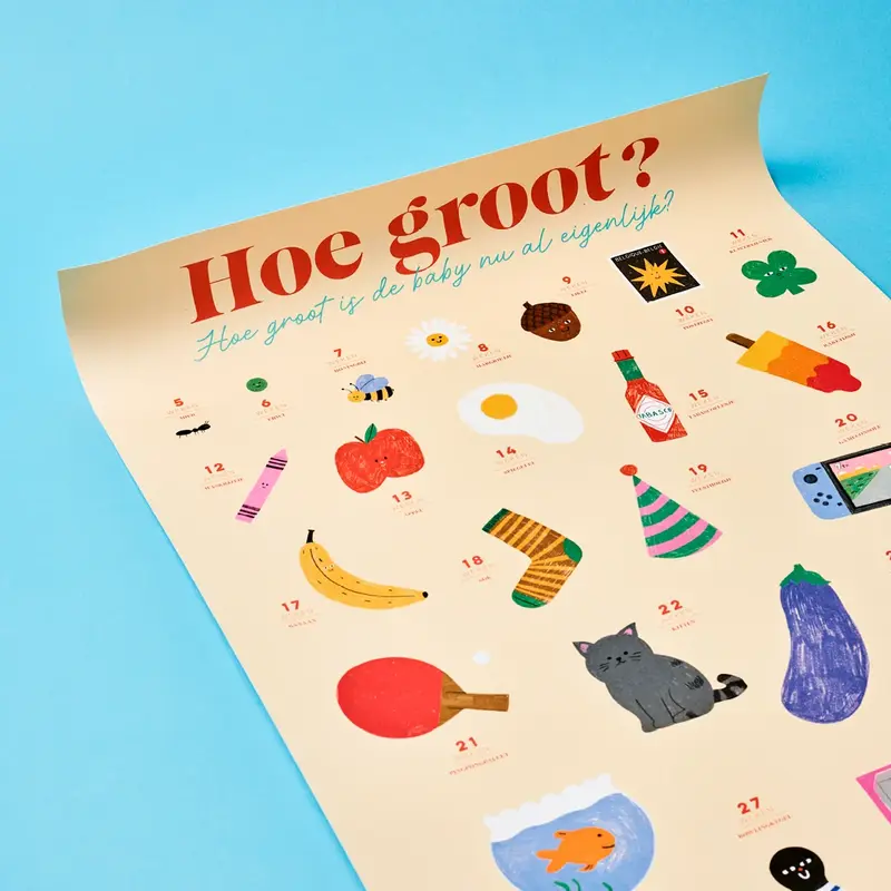 Omslag van boek: Poster Babygroeiposter