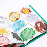 Pottertjes - Hermelien Griffel 6
