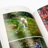 I. Herfst & WinterHet hele jaar door 4