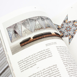 Monir Shahroudy Farmanfarmaian 4