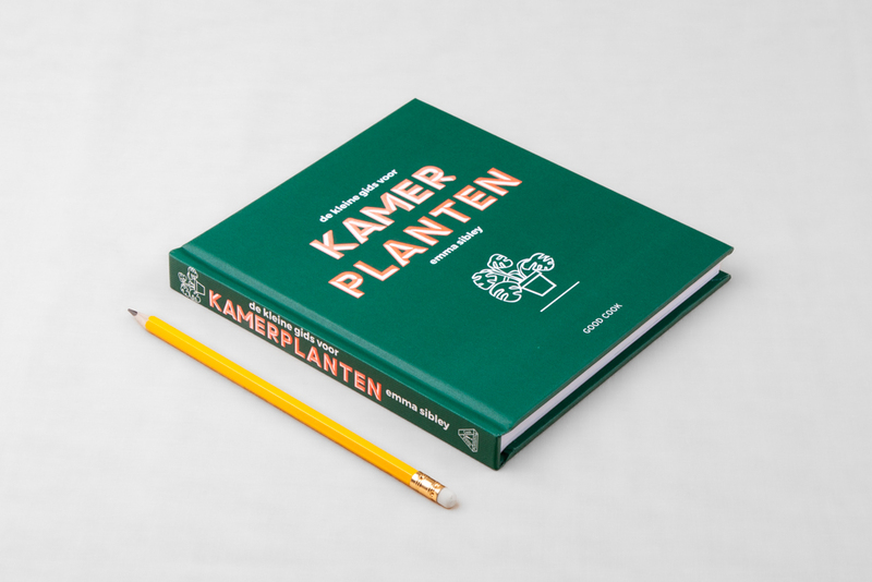 De kleine gids voor kamerplanten 3