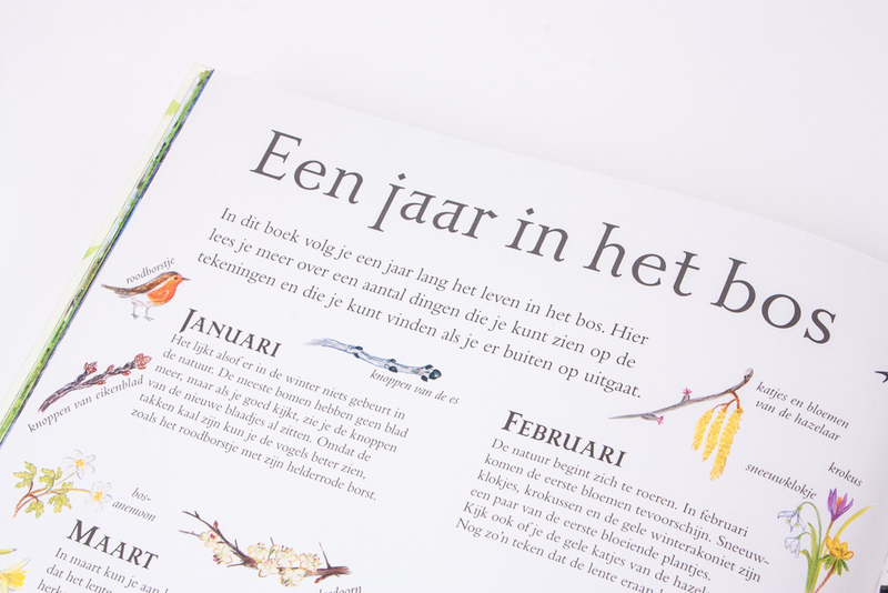 Het bos van Muis 4