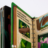 Het dikke insectenboek 6