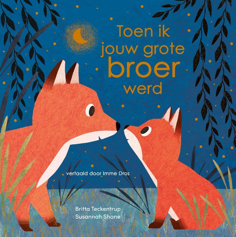 Omslag van boek: Toen ik jouw grote broer werd