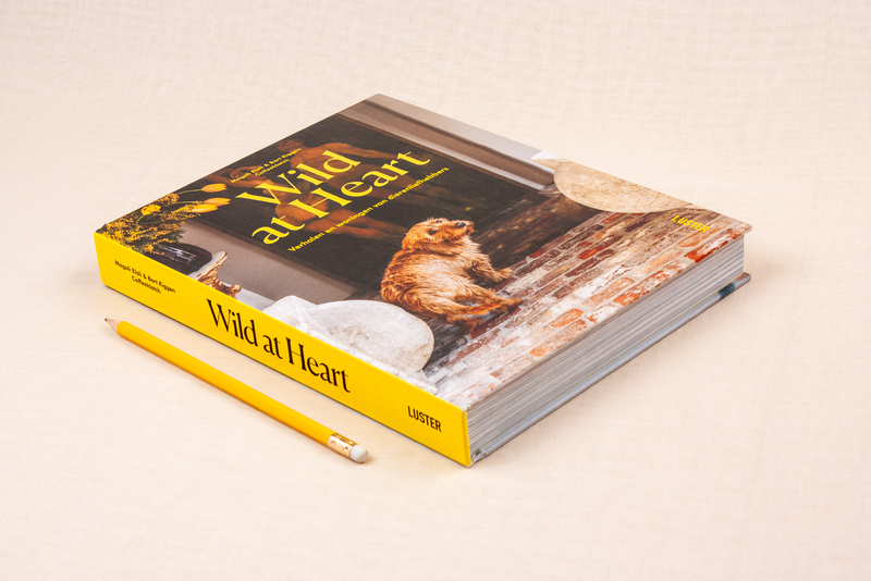 Wild at Heart - Ned. editie 3