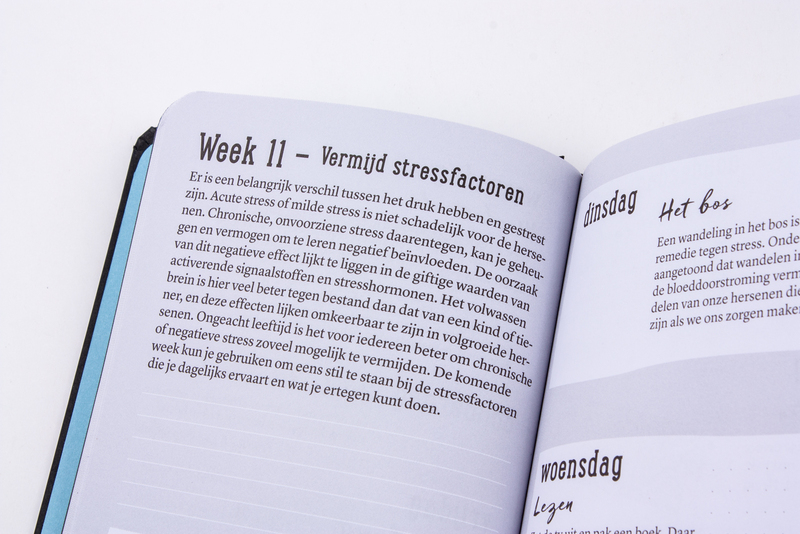 Het brein dagboek 6