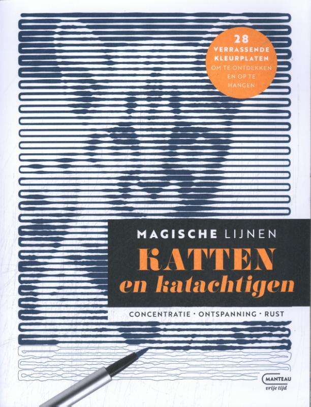 Omslag van boek: Magische lijnen Katten en katachtigen