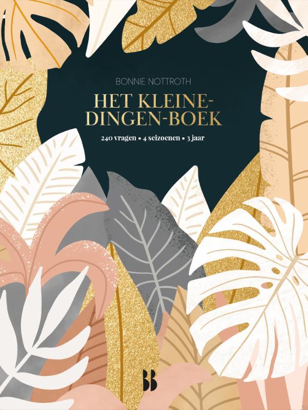 Omslag van boek: Het kleine-dingen-boek