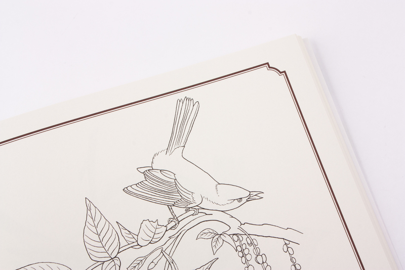 Audubon vogels kleurboek 4
