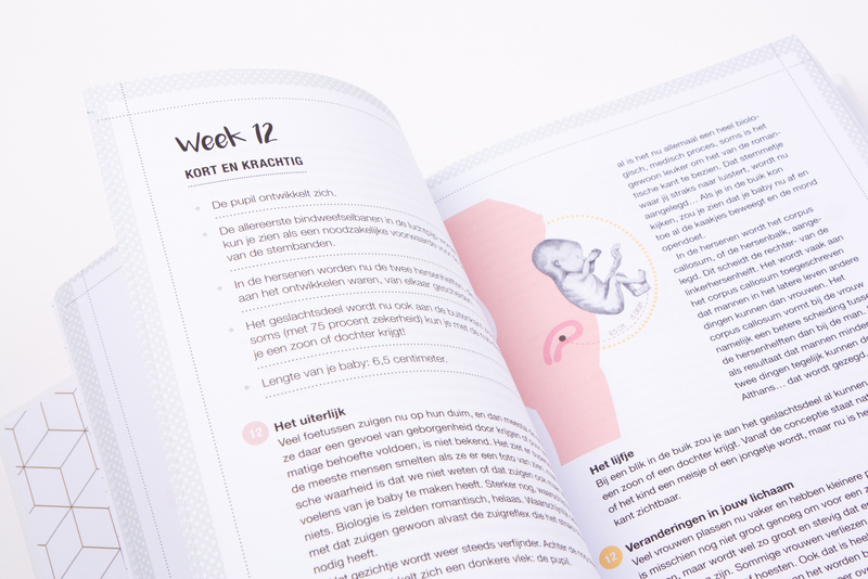 Hét zwangerschapshandboek 7