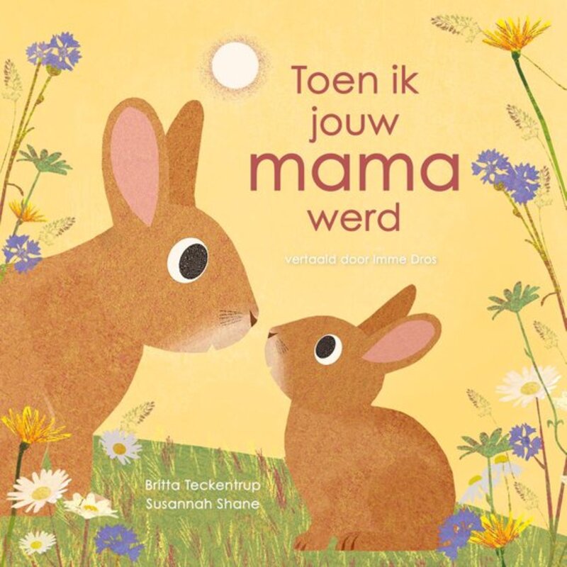 Omslag van boek: Toen ik jouw mama werd
